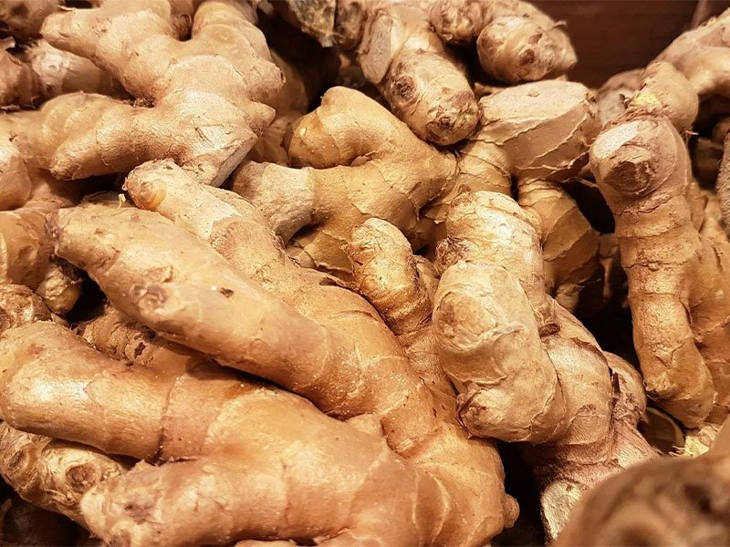 Gingembre